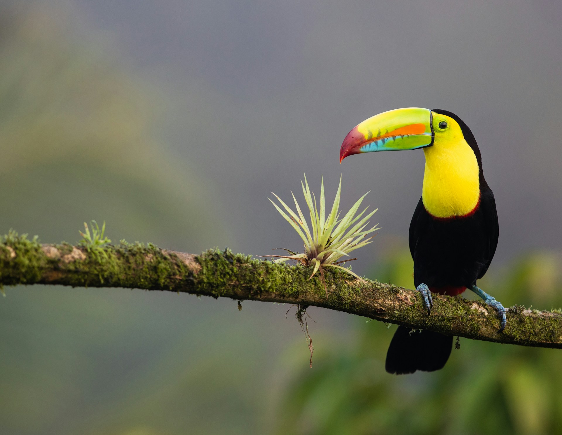 5 Days in Costa Rica: Rainforest, Volcano & Beach Escape
